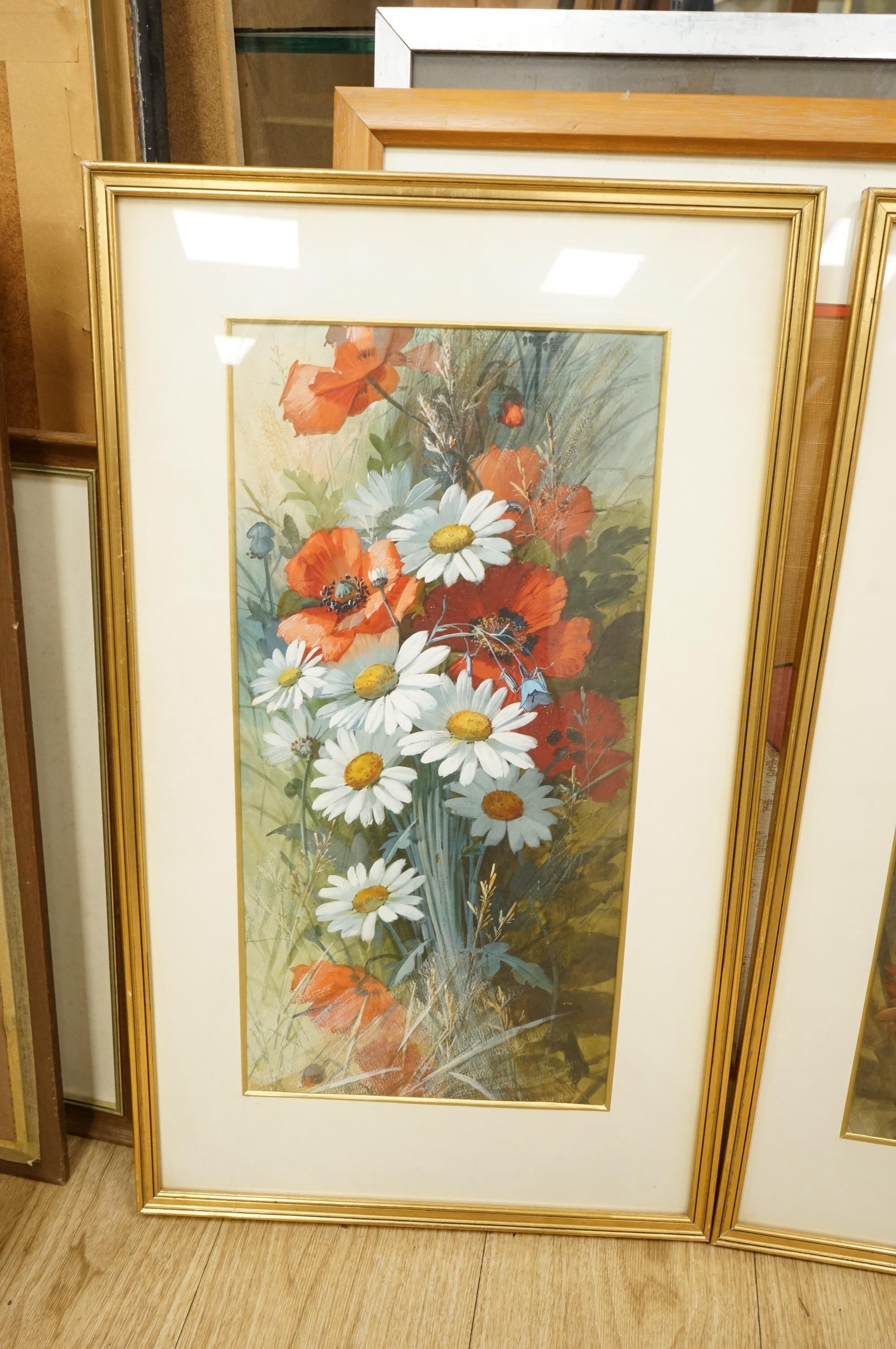 A. Connelly, Studies of flowers, each signed and dated 1910, pair of watercolours, 48 x 23cm